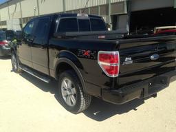 2009 FORD F 150