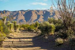 Gorgeous 40 Acre Ranchette! No Reserve! Take Over Payments!! (Vault_PNR)