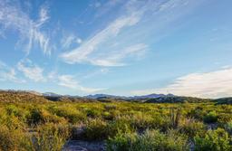 Gorgeous 40 Acre Ranchette! No Reserve! Take Over Payments!! (Vault_PNR)