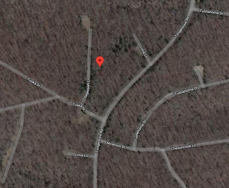 SINGLE LOT IN CHEROKEE VILLAGE FULTON COUNTY ARKANSAS! LOW PAYMENTS!