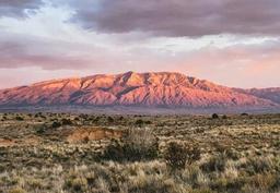 Valencia County Platted Subdivision Lot near Albuquerque New Mexico with Low Monthly Payments!