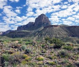 Dell Garden Estates Lot Hudspeth County Texas Great Land Use Options! Low Monthly Payments!