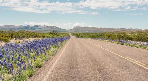 Texas 20 Acre Land Investment near Dell City and Highway in Hudspeth County! Low Monthly Payments!