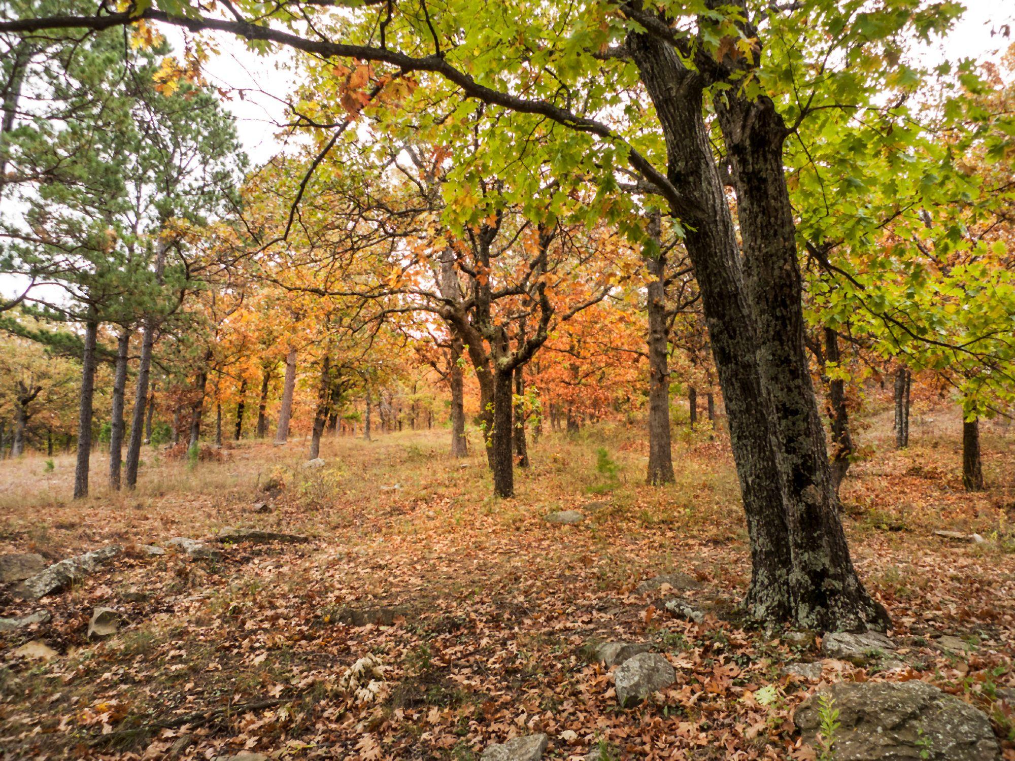 CASH SALE Lot in Cherokee Village Sharp County Arkansas Great Homesite With Amenities File 4919277