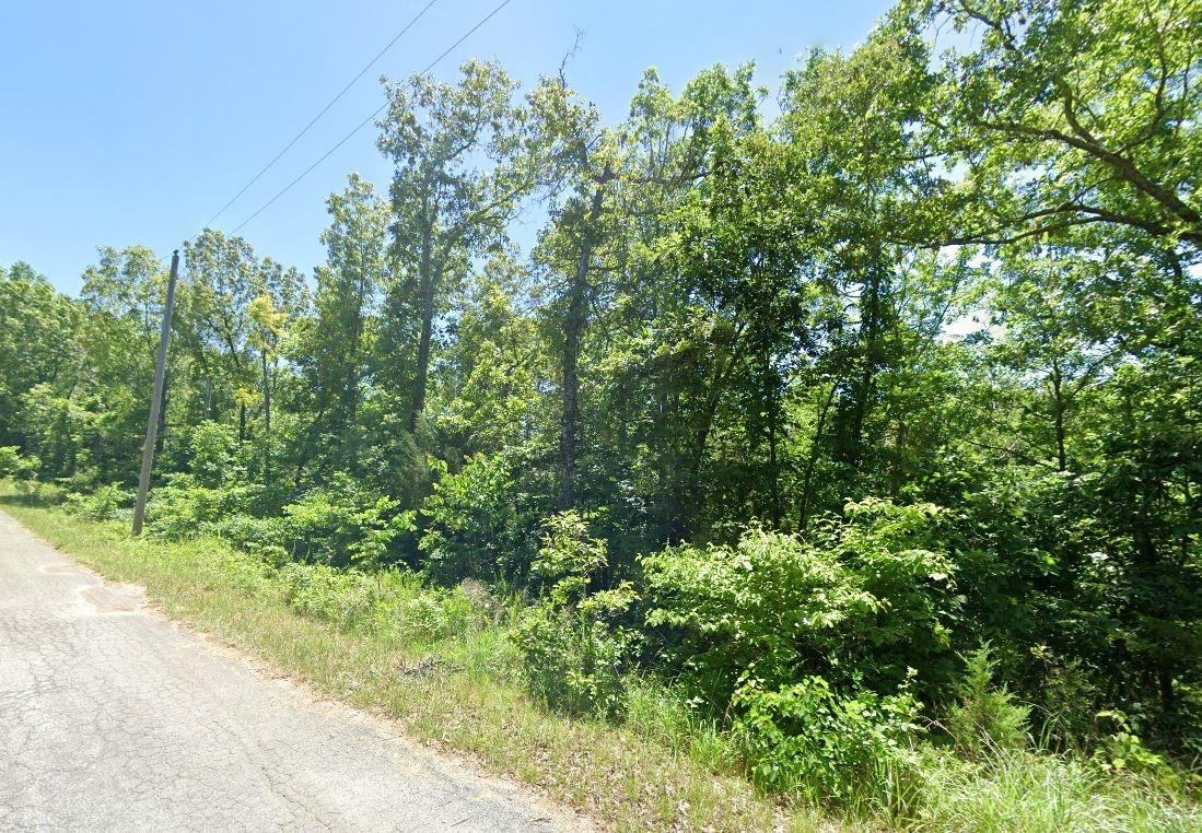 Arkansas Sharp County 0.28 Acre Cherokee Village Lot! Nice Location With Tons Of Natural Amenities!