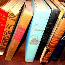 23- Book lot