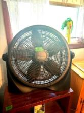 fan