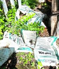 Approximate ten bags of topsoil
