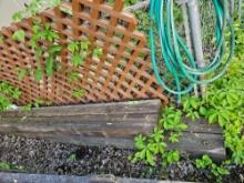 11 sections fence lattice