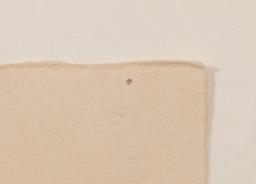 Jaune Quick-To-See Smith (American / Salish and Kootenai, b.1940) Pastel on Paper