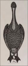 Jacques Hnizdovsky (Ukrainian / American, 1915-1985) 'Spot Bill Pelican' Woodcut