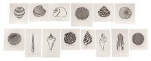 Jacques Hnizdovsky (Ukrainian / American, 1915-1985) '14 Shells' Woodcut Suite