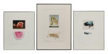 JoAnna Poehlmann (American, b.1932) Lithograph Assortment