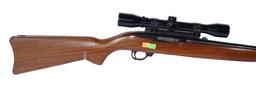 Ruger - Model:10/22 - .22- rifle
