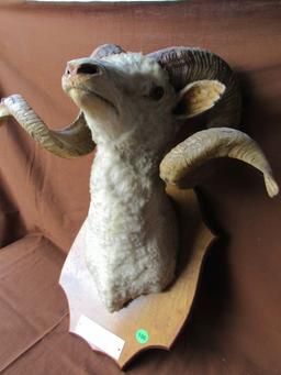 Ram head mount