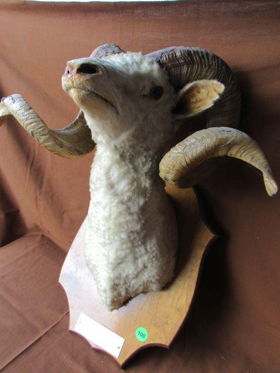 Ram head mount