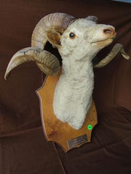 Ram head mount