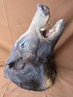 Boar head mount