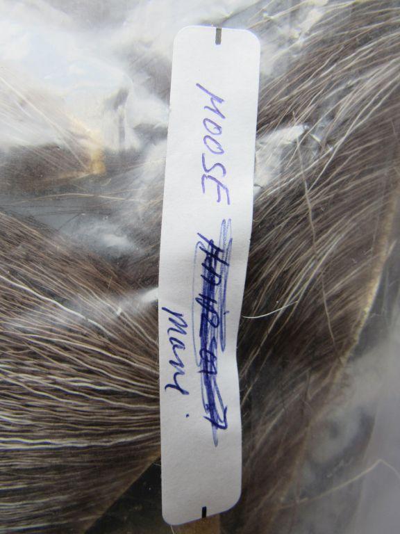 Assorted feathers for fly making