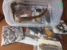 Assorted feathers for fly making