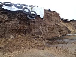 1,000+/- TON OF 2022 HI-MOISTURE HAYLAGE