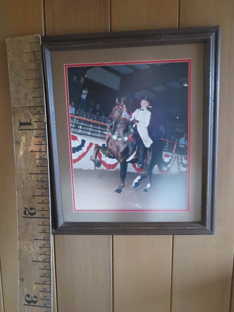 Three Framed Horse Showing photographs