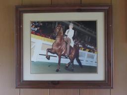 Three Framed Horse Showing photographs