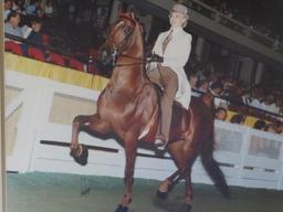 Three Framed Horse Showing photographs