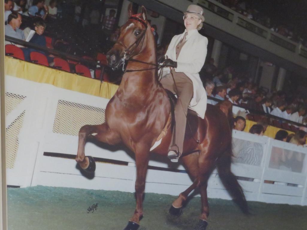 Three Framed Horse Showing photographs