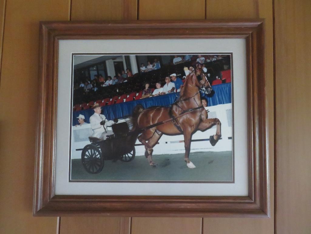 Three Framed Horse Showing photographs