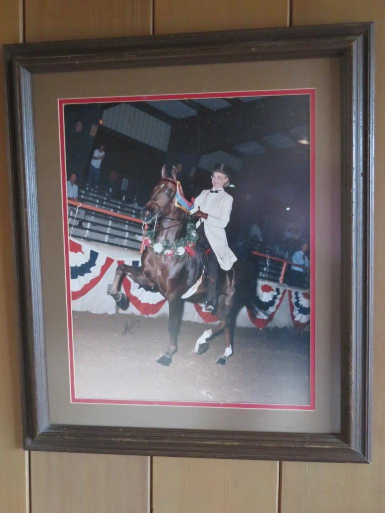 Three Framed Horse Showing photographs
