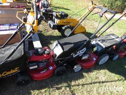 Push Lawn Mower