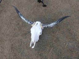 Cow Skull