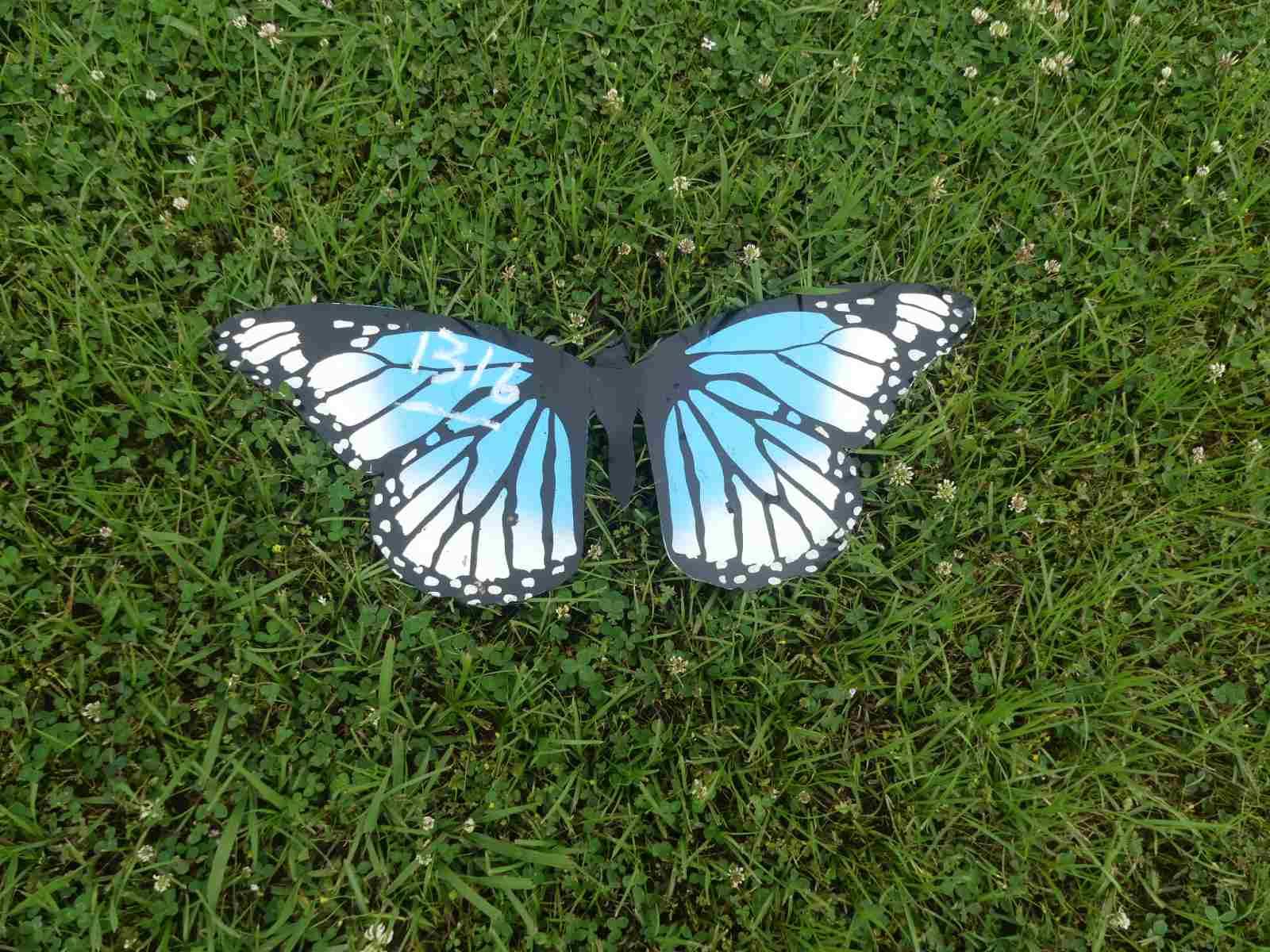 Metal Butterfly