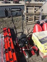 Yard Force Edger
