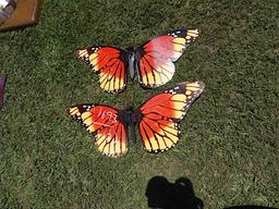 (2) Butterflies