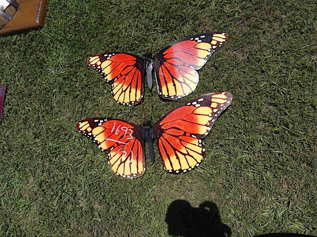 (2) Butterflies