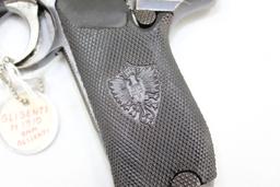 GLISENTI M1910, 9mm Gilsenti Caliber, sn# A-102