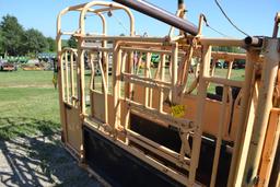 Foremost 150 Model Squeeze Chute, Head Gate, Model 30 Head Gate, Palpation Cage, Good Paint, Stored