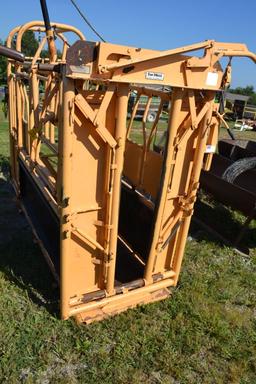 Foremost 150 Model Squeeze Chute, Head Gate, Model 30 Head Gate, Palpation Cage, Good Paint, Stored