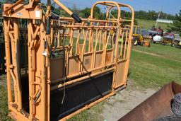 Foremost 150 Model Squeeze Chute, Head Gate, Model 30 Head Gate, Palpation Cage, Good Paint, Stored