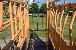 Foremost 150 Model Squeeze Chute, Head Gate, Model 30 Head Gate, Palpation Cage, Good Paint, Stored