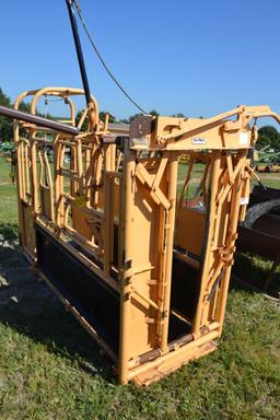 Foremost 150 Model Squeeze Chute, Head Gate, Model 30 Head Gate, Palpation Cage, Good Paint, Stored