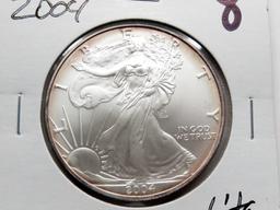 Silver American Eagle 2004 Gem BU light toning