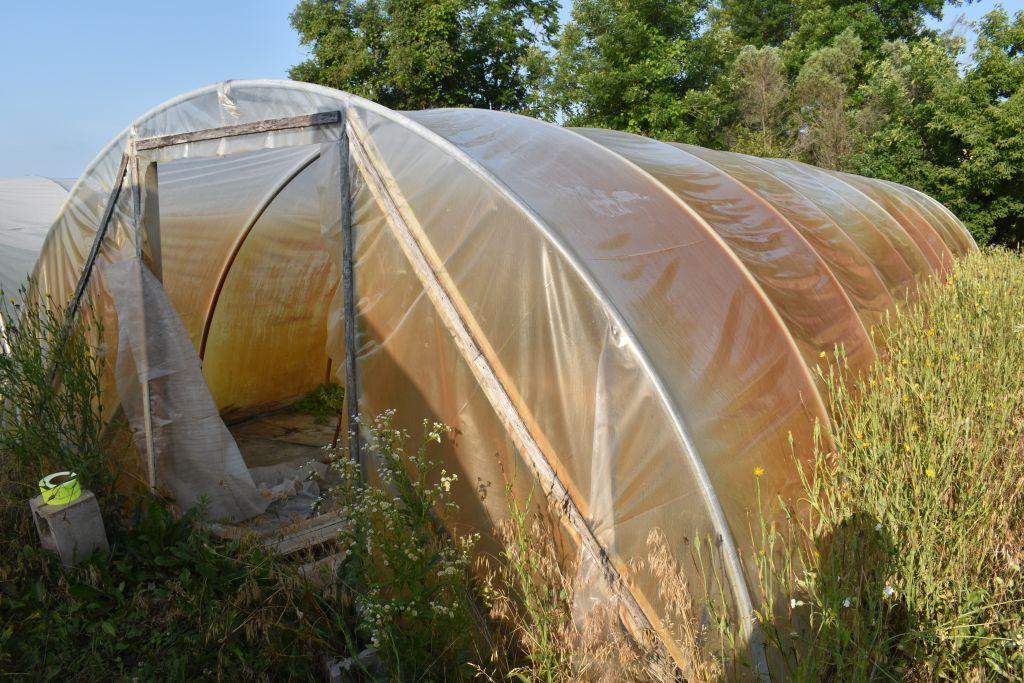 14'x45' hoop greenhouse with fan, Buyers responsible for removal, must be removed by