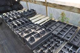 Laree amount of planting trays, some damaged , located in GH 197