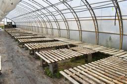 (27) 42"x7' wooden greenhouse garden benches with cinder blocks, located in GH2