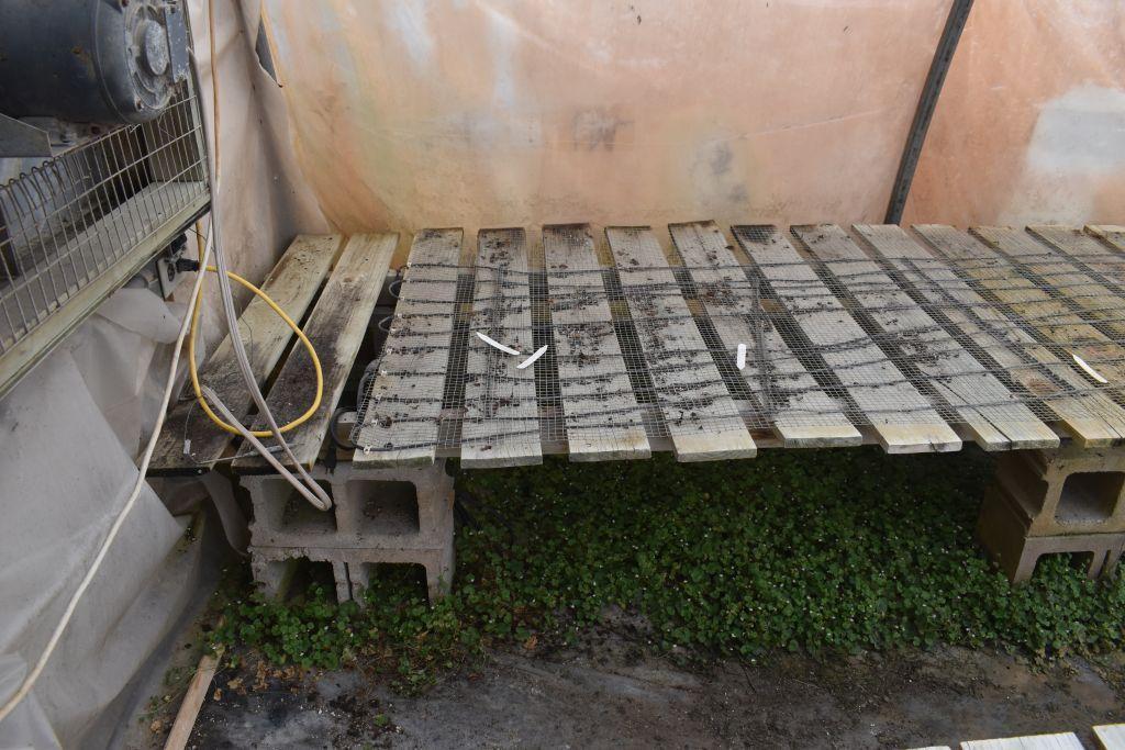 64"x64' and 48"x72' wooden greenhouse garden bench with cinder blocks, located in GH 71