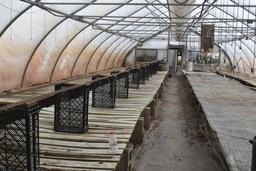 64"x64' and 48"x72' wooden greenhouse garden bench with cinder blocks, located in GH 71