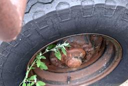 (26) 30' x 6" irrigation Pipe Sections, Some May Need Repair, Selling With Shop Built Trailer